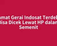 Alamat Gerai Indosat Terdekat Bisa Dicek Lewat HP dalam Semenit