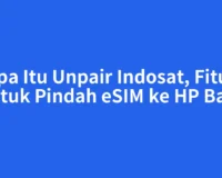 Apa Itu Unpair Indosat, Fitur untuk Pindah eSIM ke HP Baru
