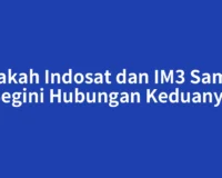 Apakah Indosat dan IM3 Sama? Begini Hubungan Keduanya