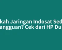 Apakah Jaringan Indosat Sedang Gangguan? Cek dari HP Dulu