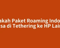 Apakah Paket Roaming Indosat Bisa di Tethering ke HP Lain?