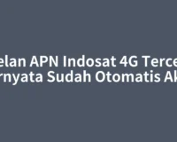 Setelan APN Indosat 4G Tercepat Ternyata Sudah Otomatis Aktif