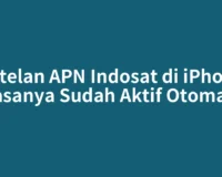 Setelan APN Indosat di iPhone Biasanya Sudah Aktif Otomatis