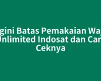Segini Batas Pemakaian Wajar Unlimited Indosat dan Cara Ceknya