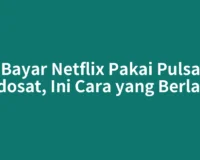 Bayar Netflix Pakai Pulsa Indosat, Ini Cara yang Berlaku