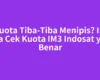 Kuota Tiba-Tiba Menipis? Ini Cara Cek Kuota IM3 Indosat yang Benar