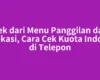 Cek dari Menu Panggilan dan Aplikasi, Cara Cek Kuota Indosat di Telepon