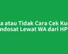 Bisa atau Tidak Cara Cek Kuota Indosat Lewat WA dari HP?