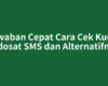 Jawaban Cepat Cara Cek Kuota Indosat SMS dan Alternatifnya
