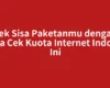 Cek Sisa Paketanmu dengan Cara Cek Kuota Internet Indosat Ini